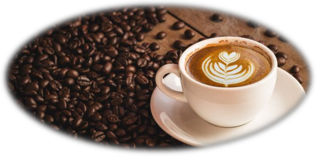 Produzione e commercializzazione caffè